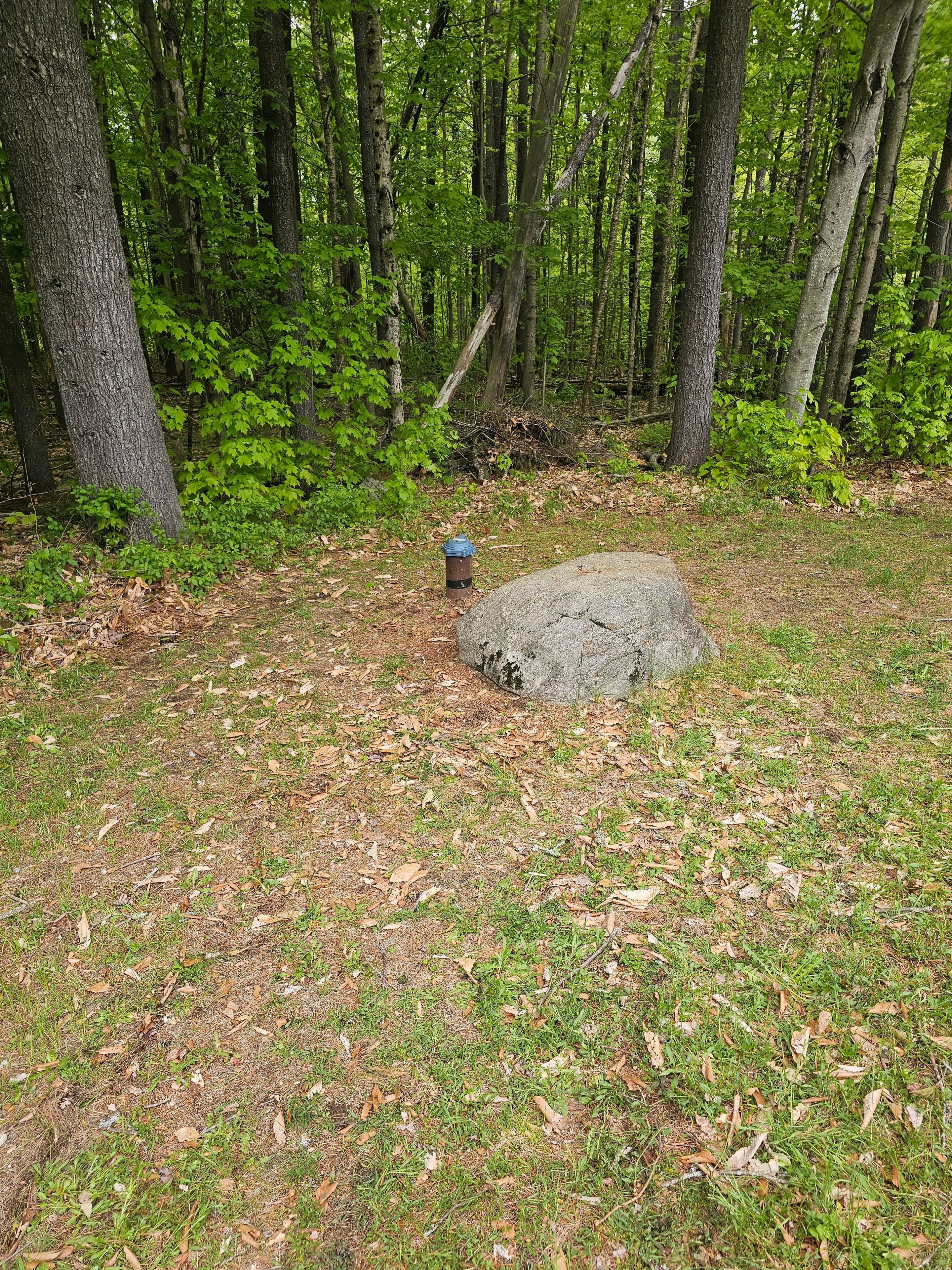 Well cap in the woods